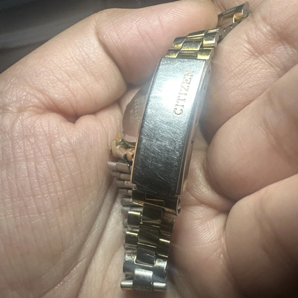 Citizen might need